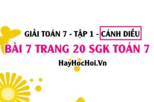 Giải bài 7 trang 20 Toán 7 Tập 1 SGK Cánh Diều